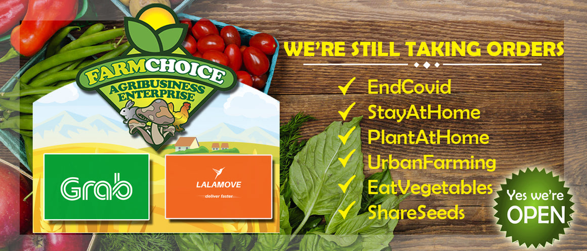 Farmchoice Agribusiness