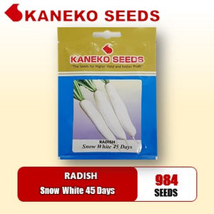 RADISH - Snow  White 45 Days