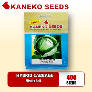 HYBRID  CABBAGE - Mighty Ball